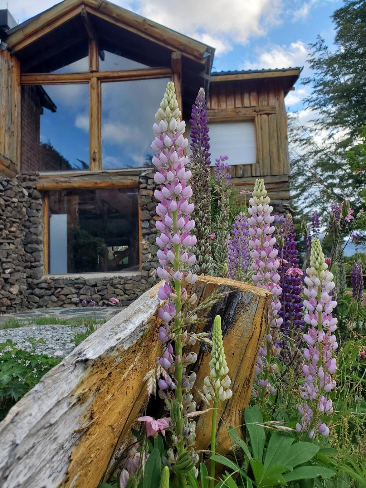 Exclusive Cabin On The Lake Villa San Carlos de Bariloche Exterior photo